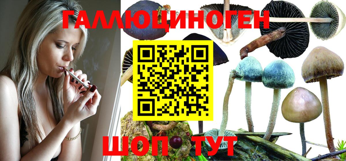 Галлюциногенные грибы GOLDEN TEACHER Вязьма