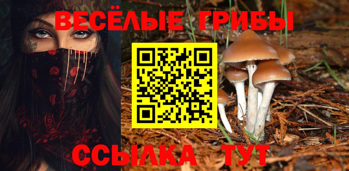 Псилоцибиновые грибы Psilocybe  Вход с VPN  Вязьма 